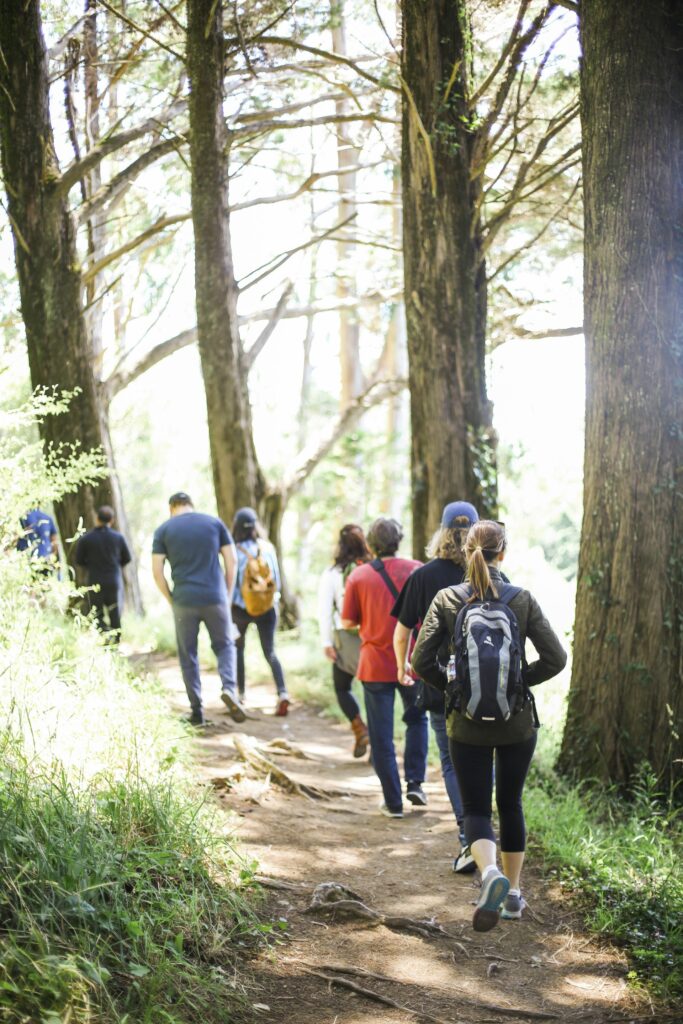 A group walking along a sunny forest path